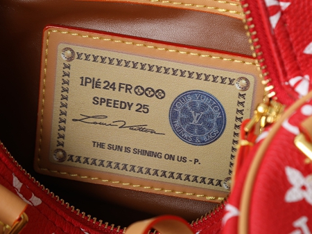 S級品ルイヴィトンバッグ着用イメージ